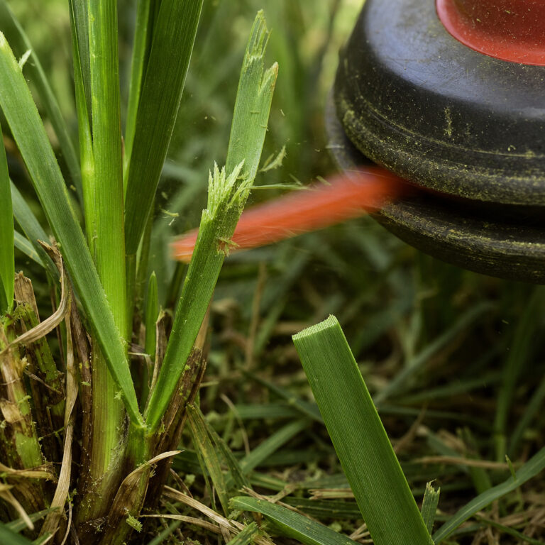 Can You Cut Grass with a Weed Wacker? The Practical Truth